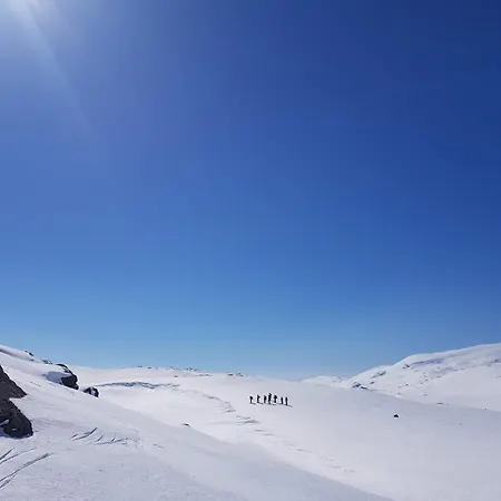 Apartman Mountain View 1 *